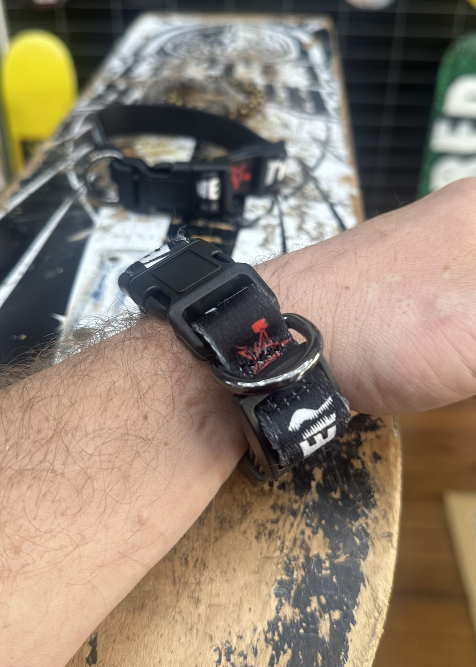 Thrasher THRASHER - Dog Collar - 8" to 11"