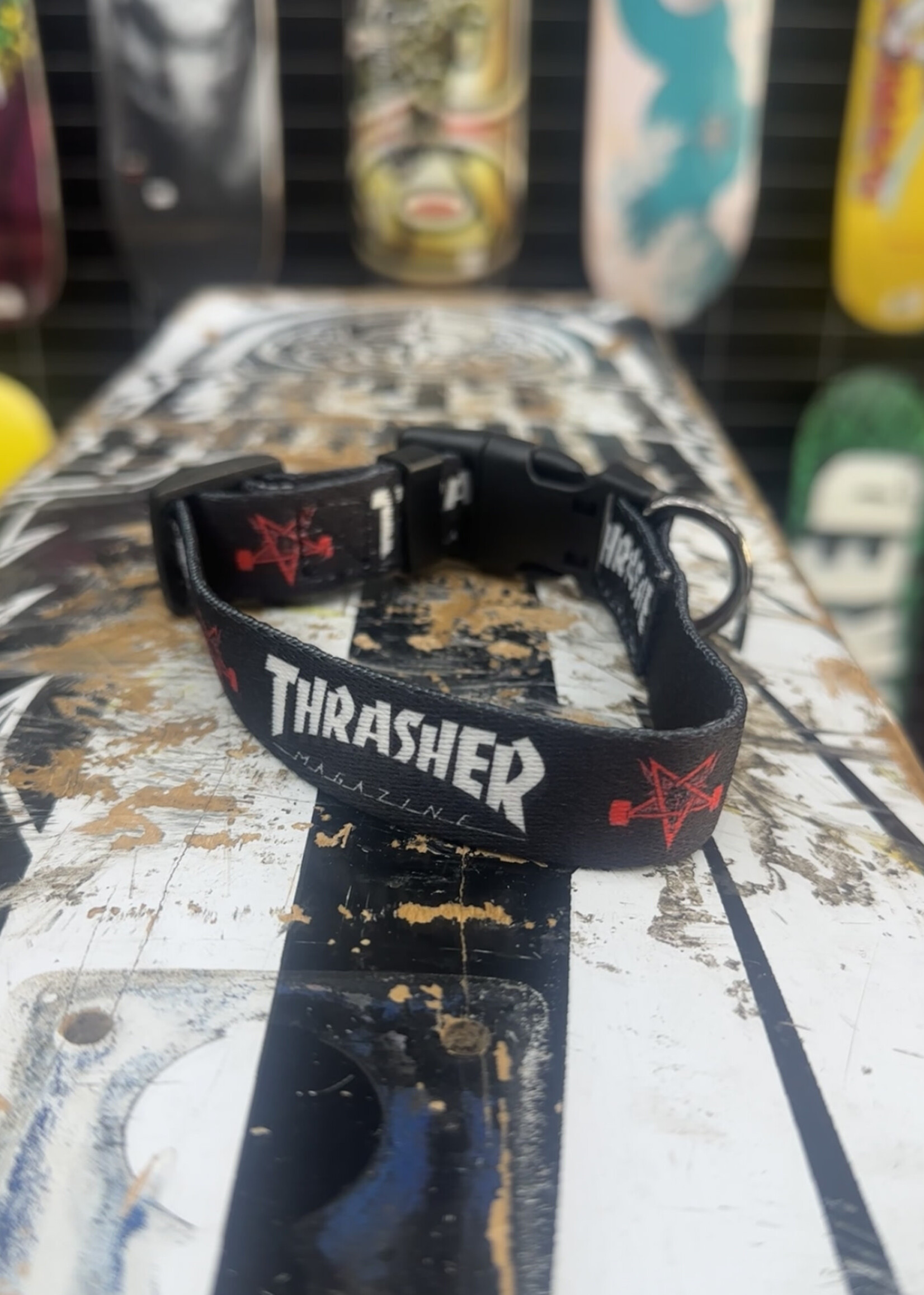 Thrasher THRASHER - Dog Collar - 8" to 11"