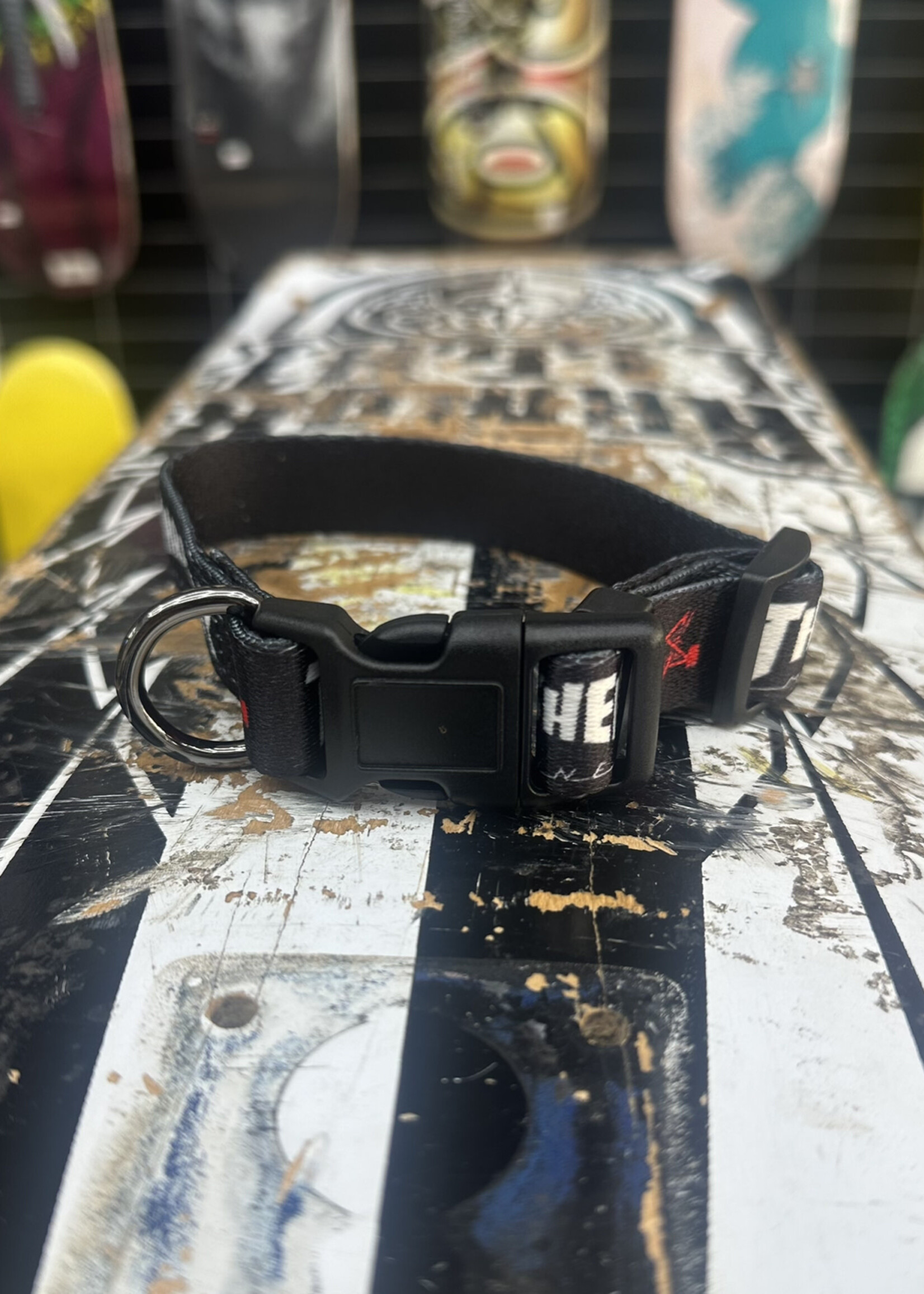 Thrasher THRASHER - Dog Collar - 8" to 11"