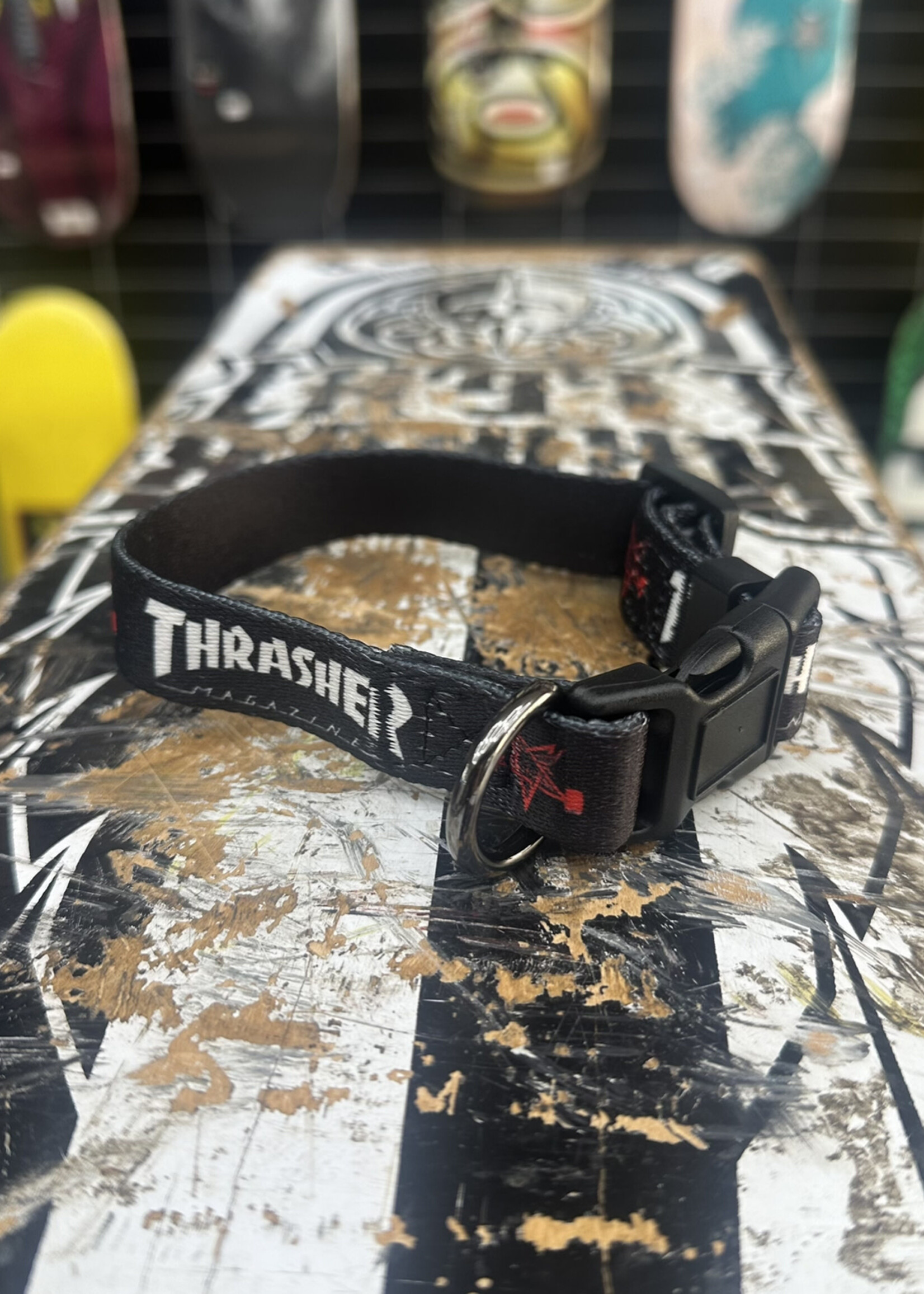 Thrasher THRASHER - Dog Collar - 8" to 11"