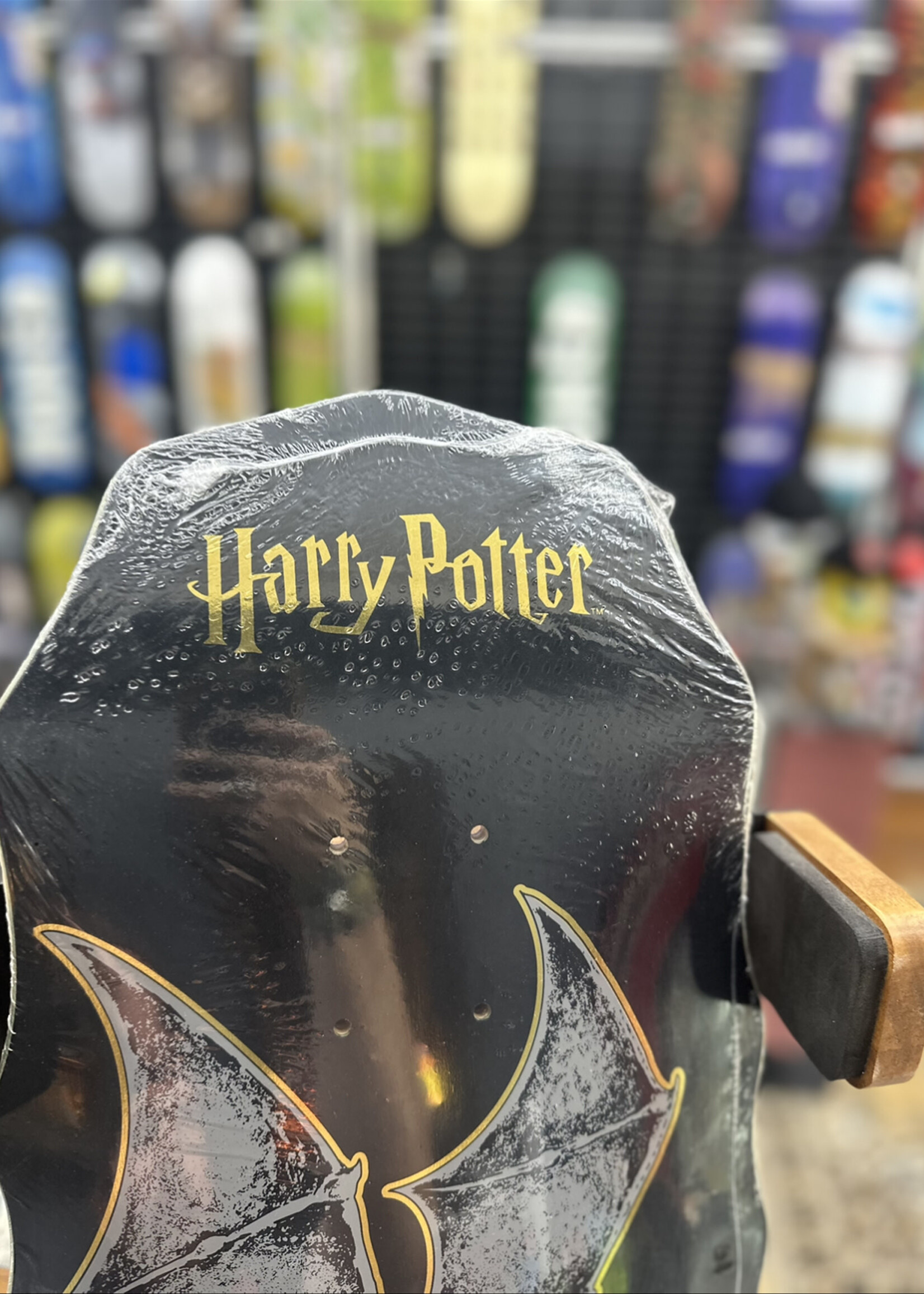 Welcome WELCOME - Harry Potter Thestral on Widow - 10.0"