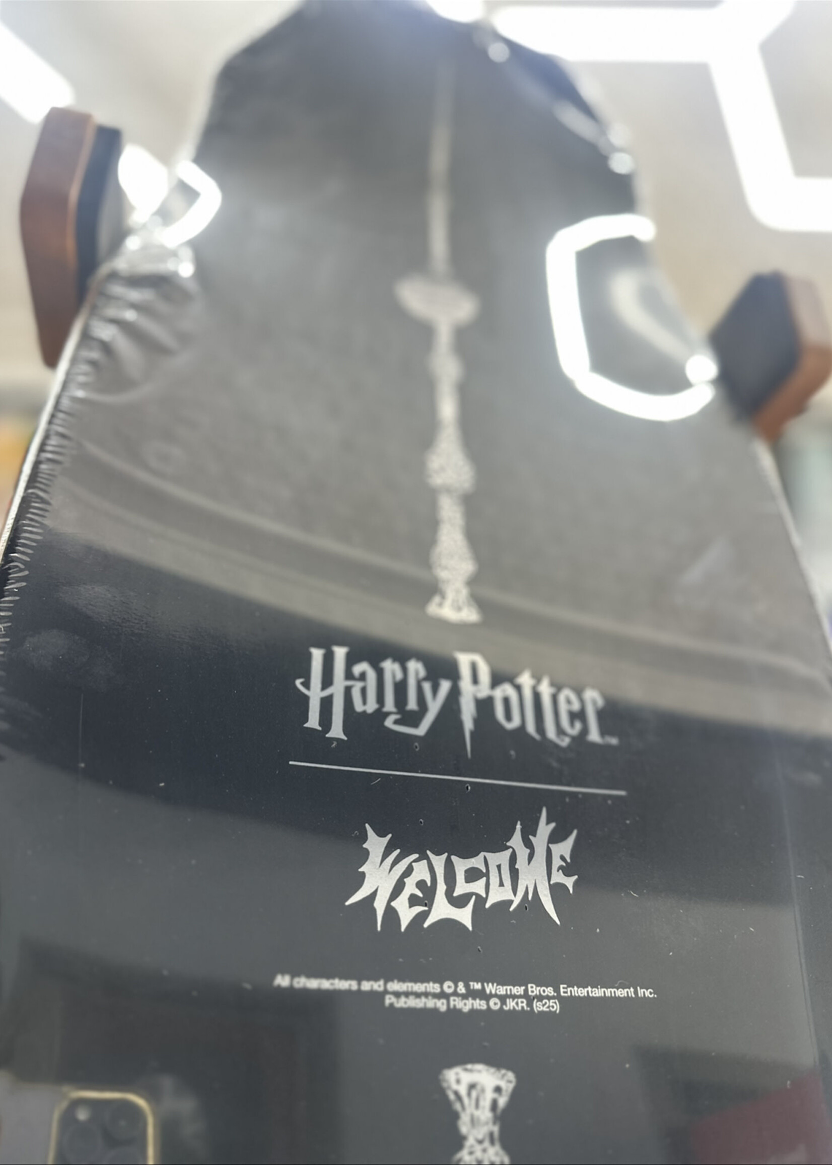 Welcome WELCOME - Harry Potter Voldemort on Dark Lord - 9.75"