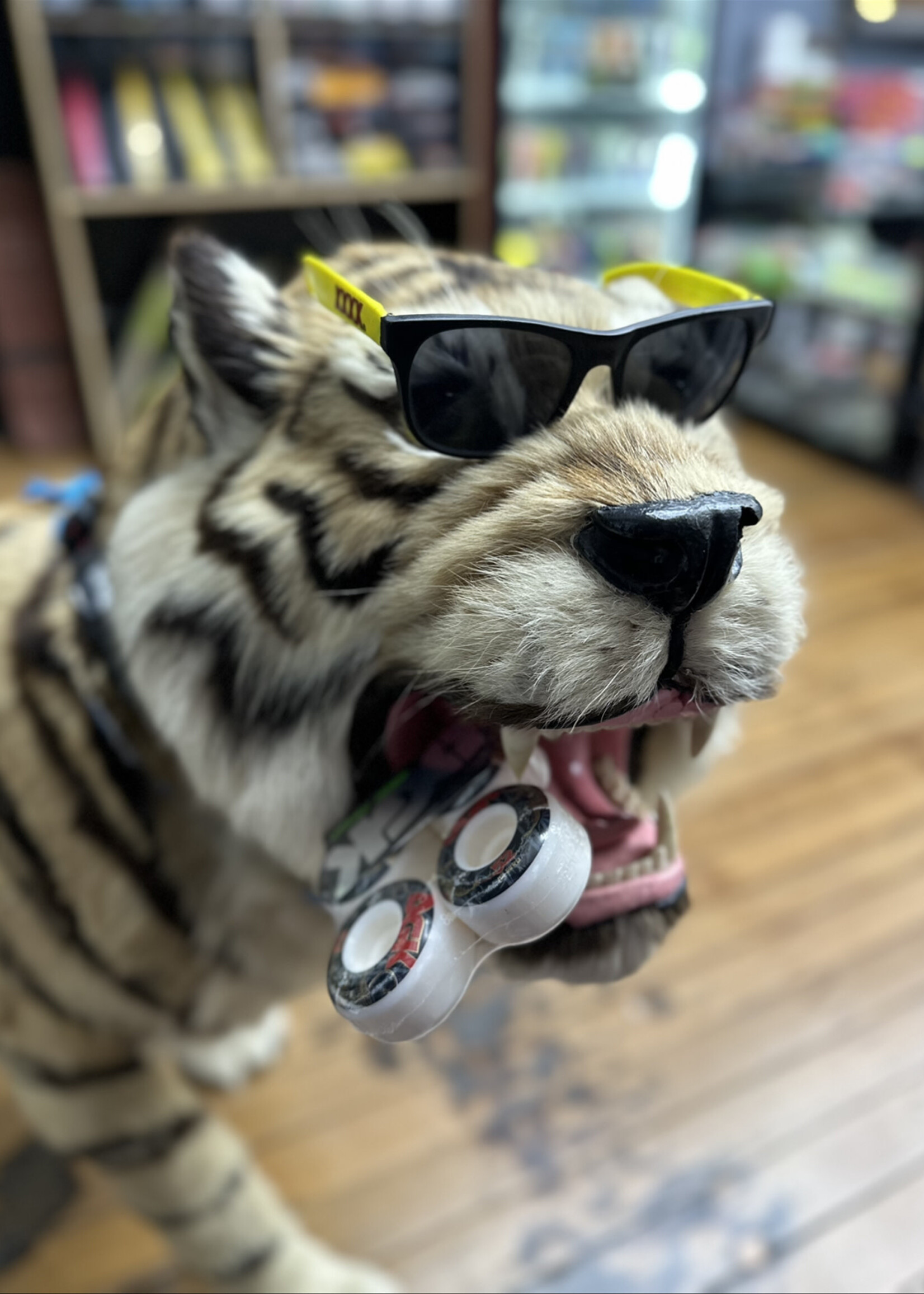 DGK DGK - Strength Wheels - 52mm 101a