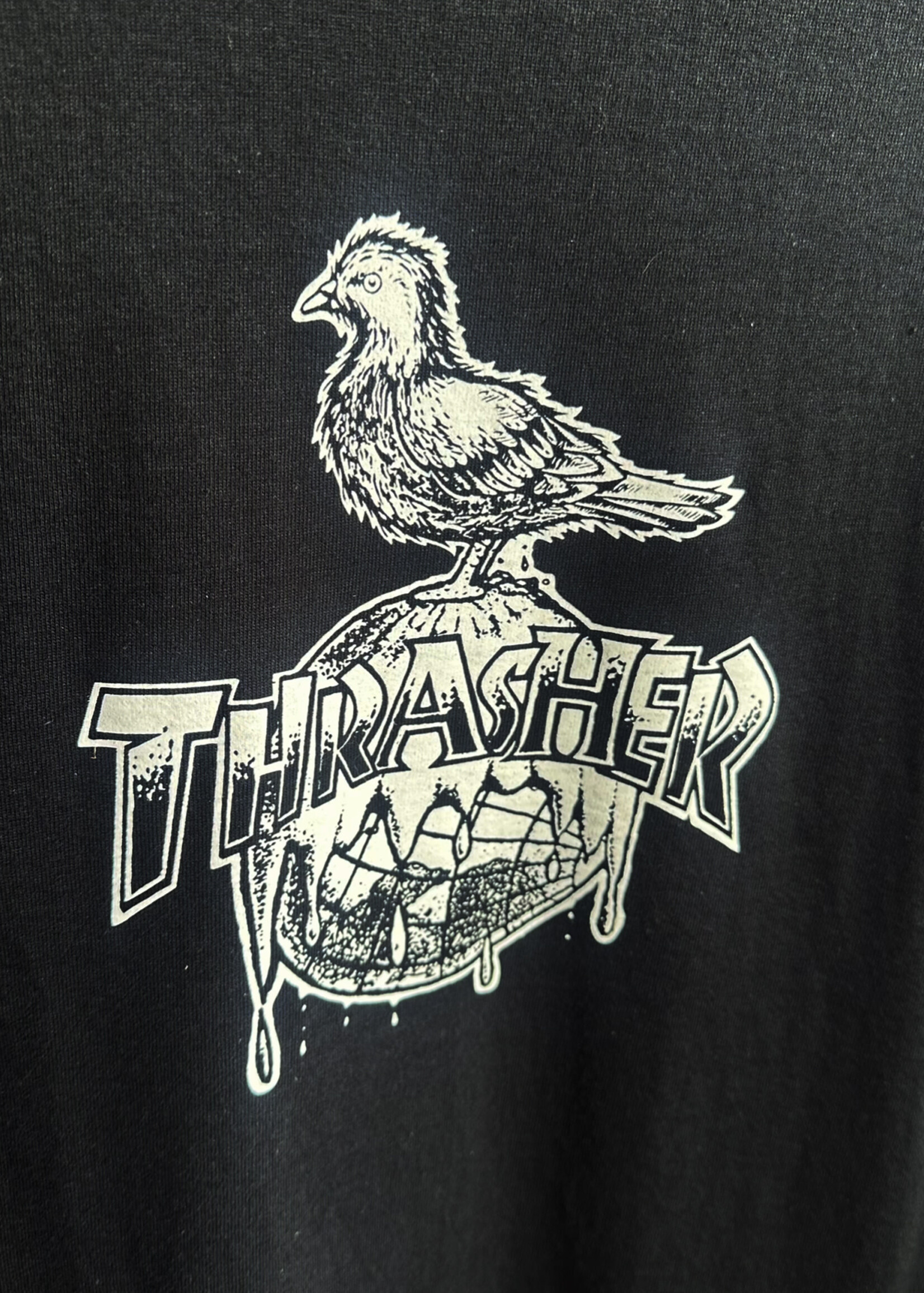 Thrasher THRASHER x ANTI HERO - Cover The Earth Pigeon T-Shirt