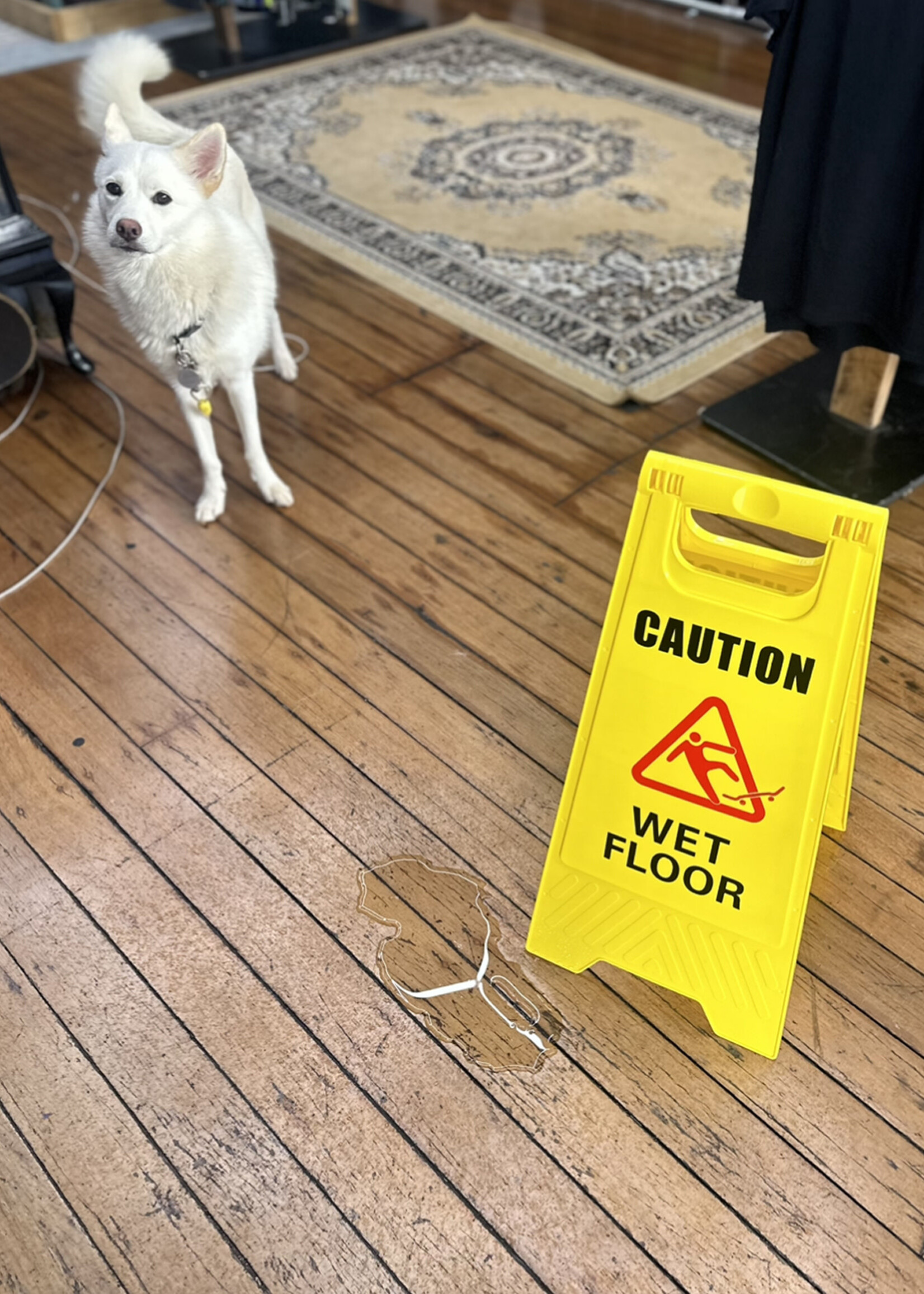 Local Artists HILLTOP SKATESHOP - Skater Wet Floor Sign