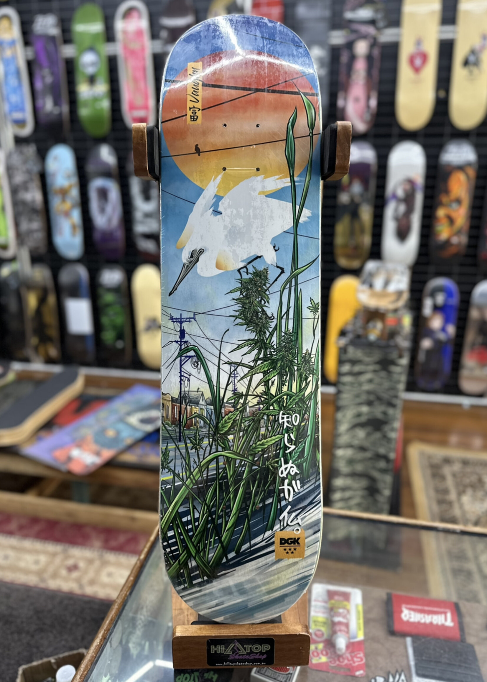 DGK DGK - Dane Vaughn Prosperity - 8.0"