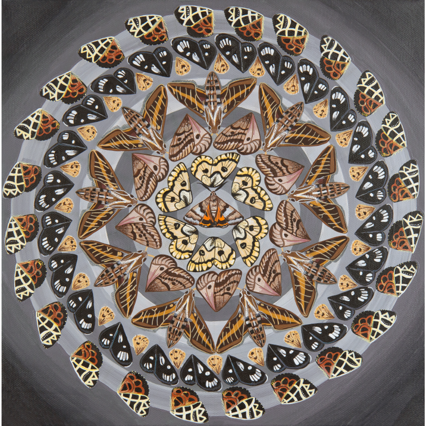Stirling Studios "Mothdala" Mandala Canvas Print