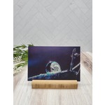 Frozen Bubble Print with Bamboo Stand