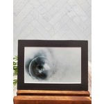 Frozen Bubble Matted Print  - snowflake on bubble