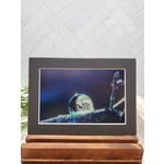 SGT Photography Frozen Bubble Matted Print - turquoise