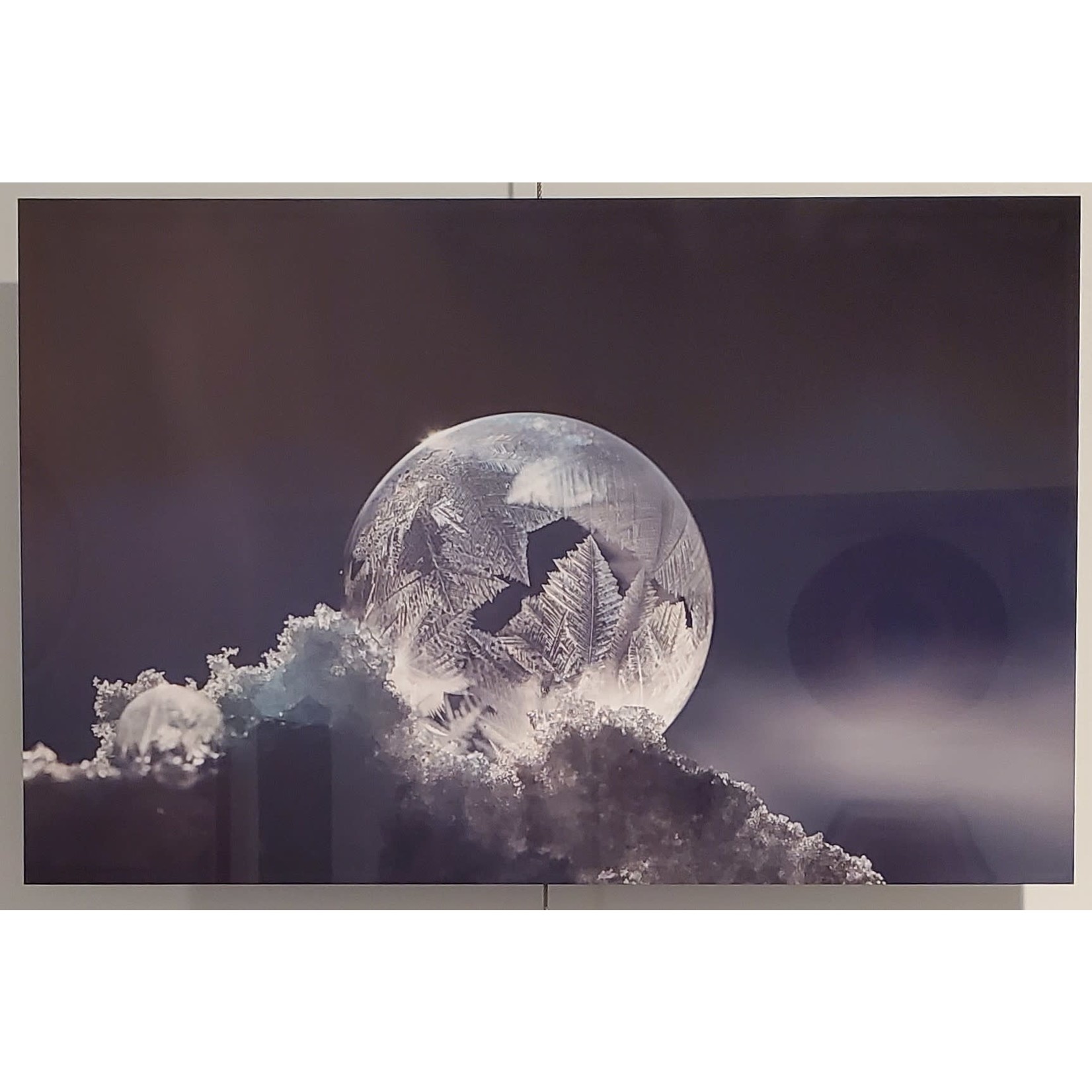 Frozen Bubble - metal print - snow