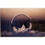 Frozen Bubble - metal print - sunset