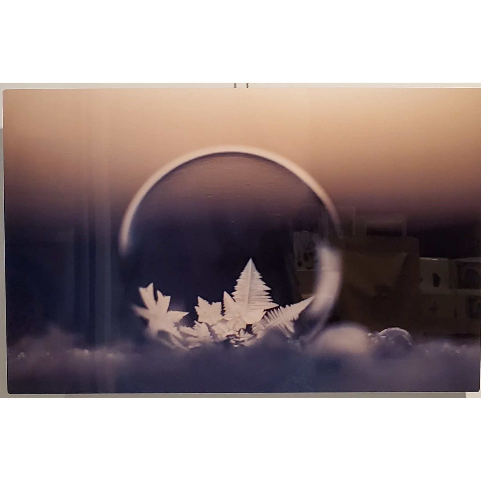 SGT Photography Frozen Bubble - metal print - sunset