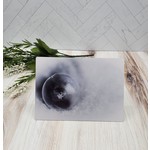 Frozen Bubble  - metal print