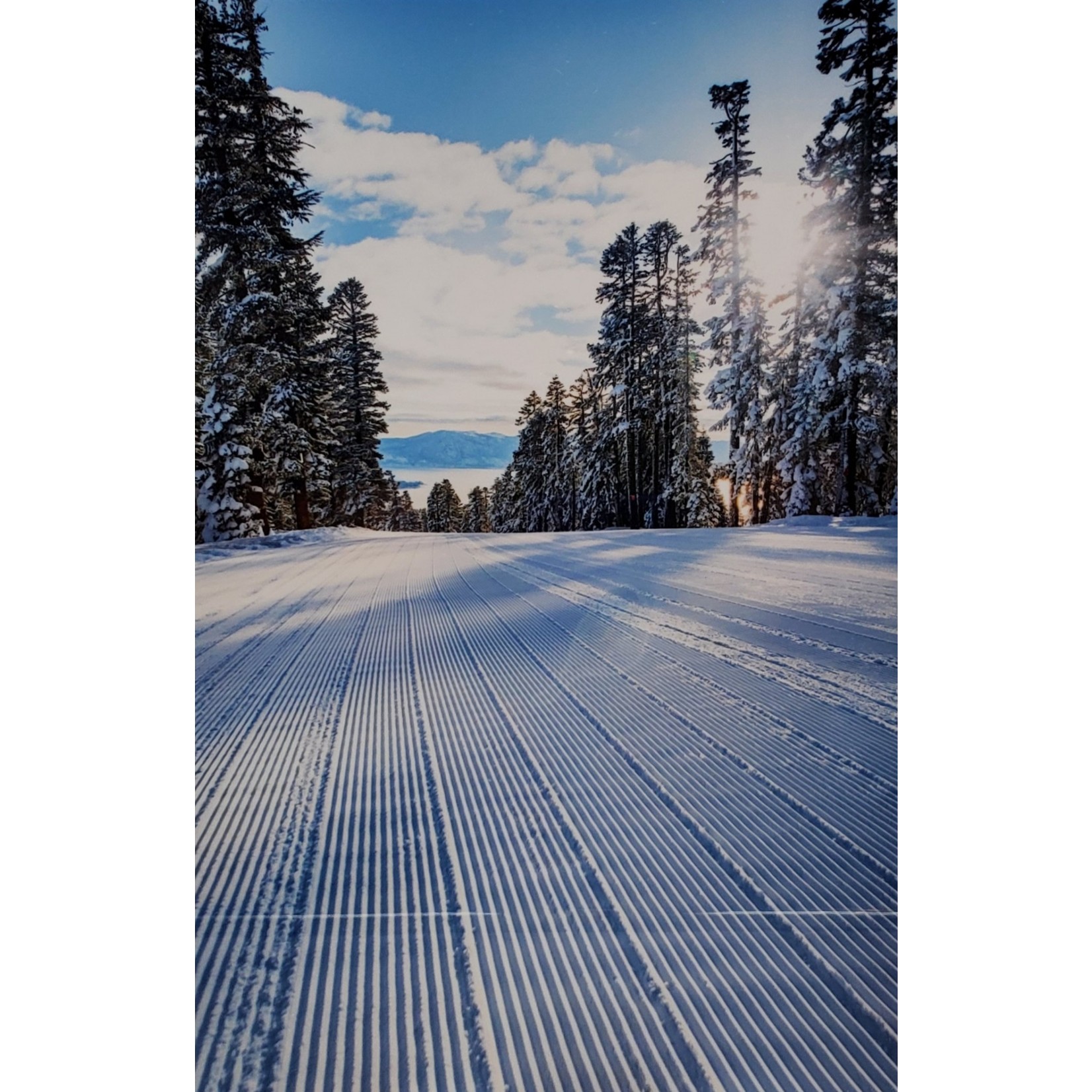 "Northstar Groomer" - 8x12" metal print