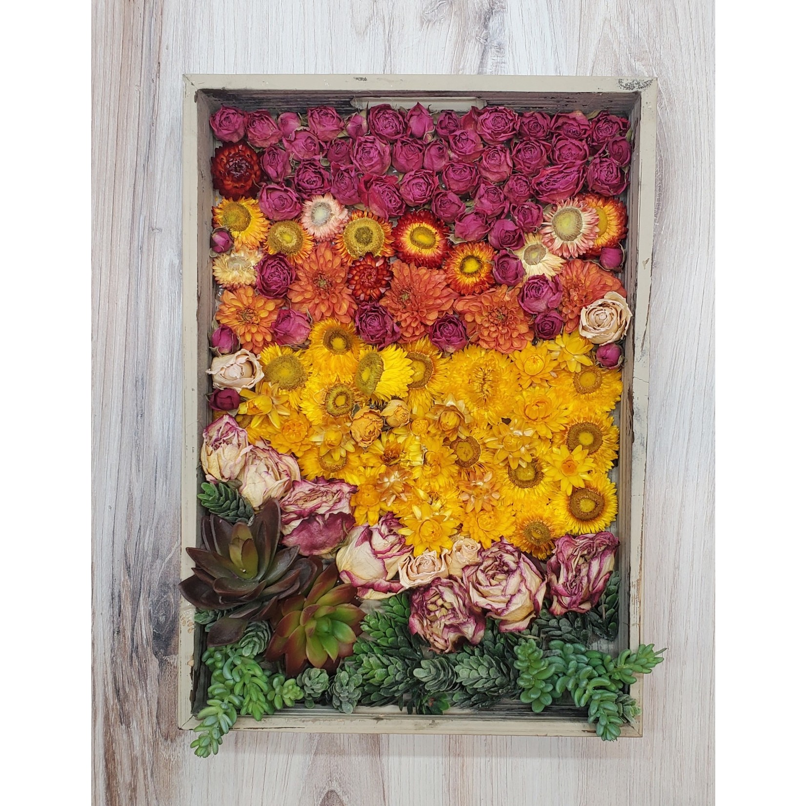 Box of Posies "Sunrise Succulents" - dried flower artwork
