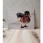 Franny Ramirez-Bryan Photography "Wood Duck" - Metal Photo Print