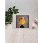 Bethany Lund "Yellow Belly" - Notecard