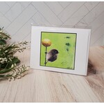 Bethany Lund "Curious" - Notecard