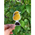 Bethany Lund Bird Sticker - "Yellow Belly"