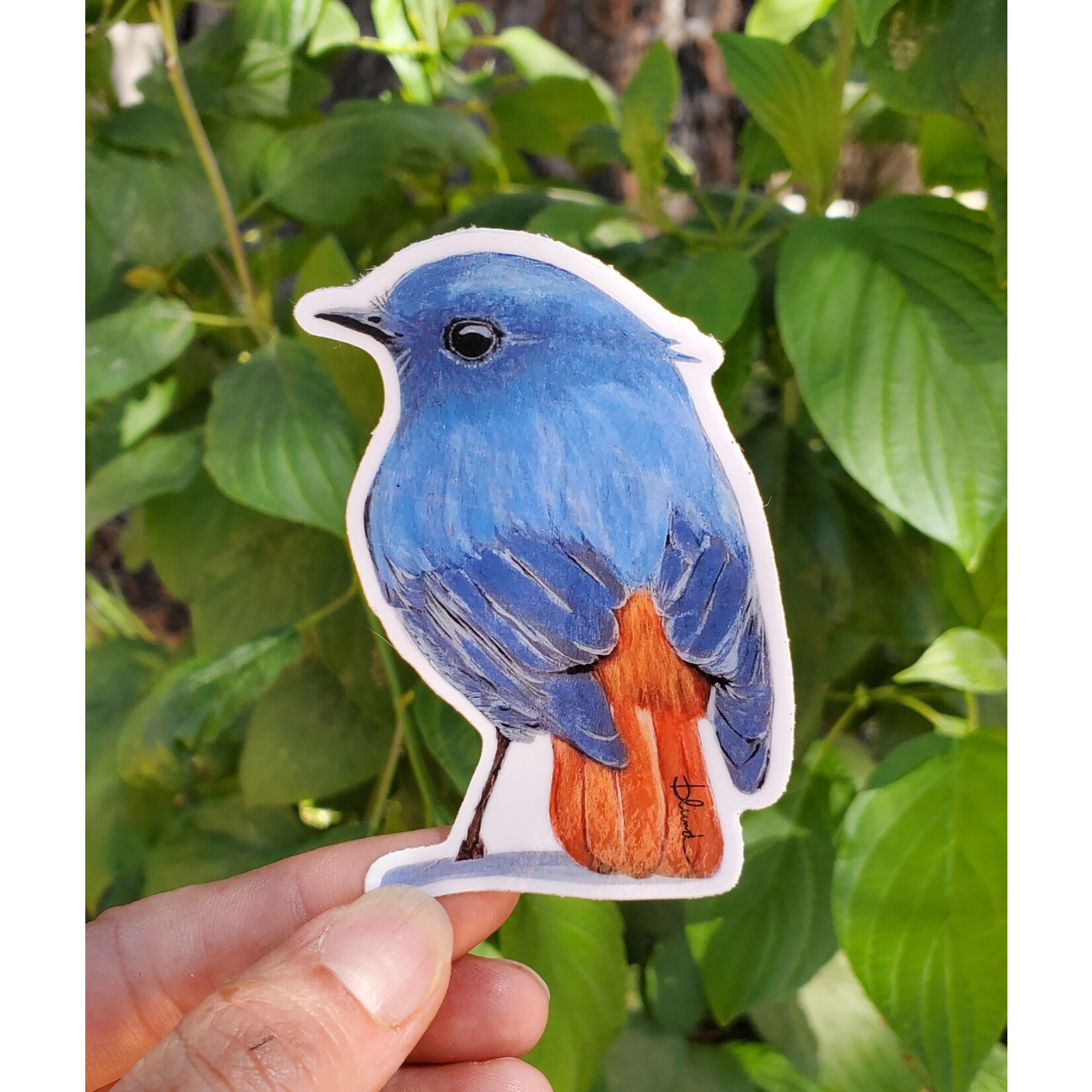 Bird Stickers  Bird Collective