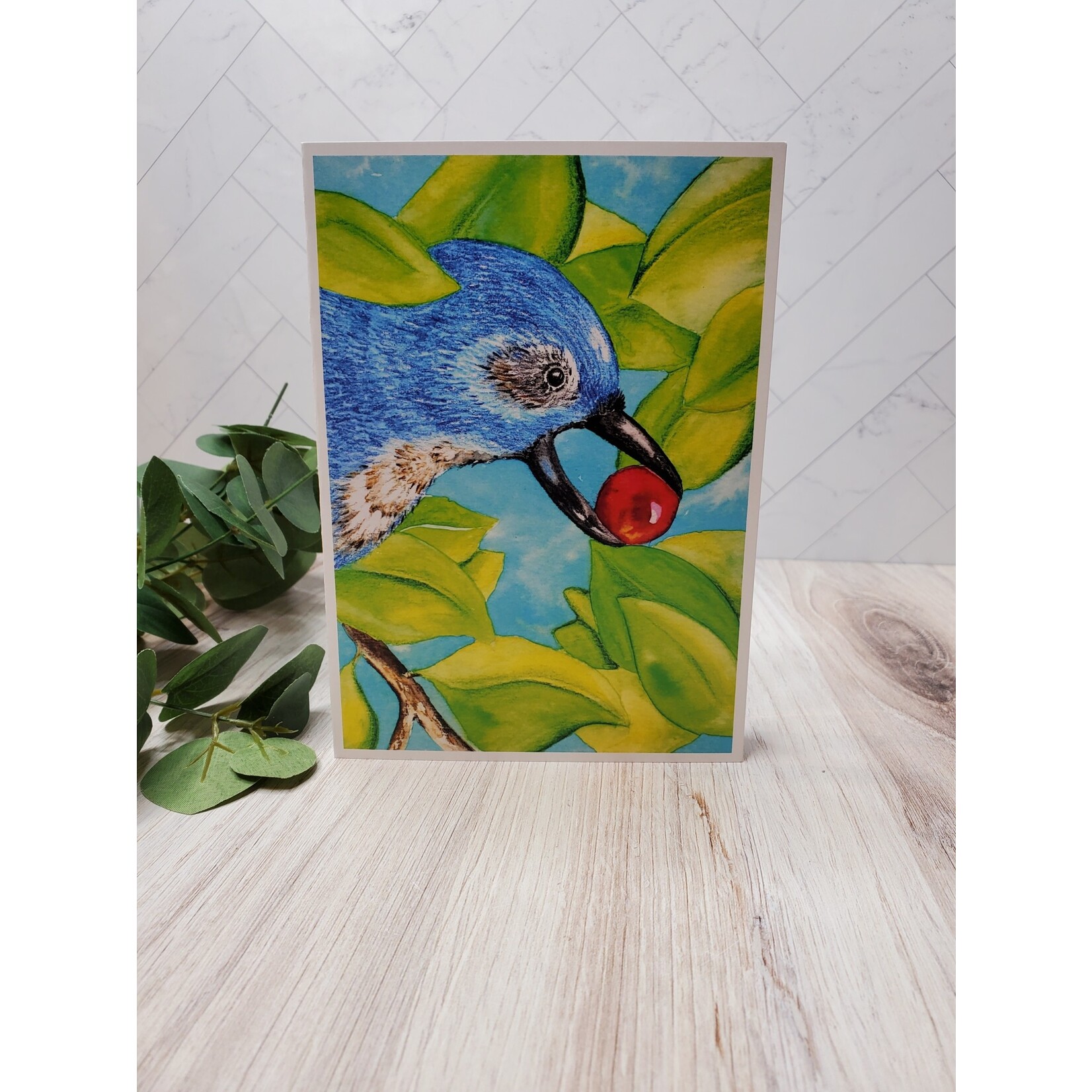 Bird in a Pine Blue Jay - Greeting Card