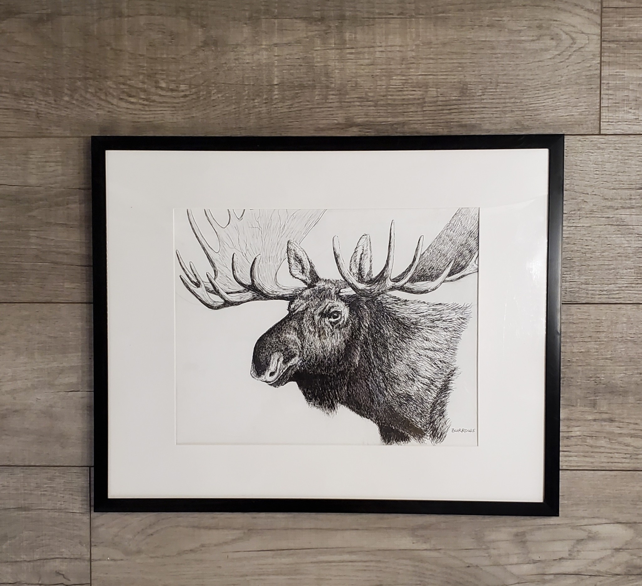 "Bull Moose" original ink on paper Chickadee Art Collective