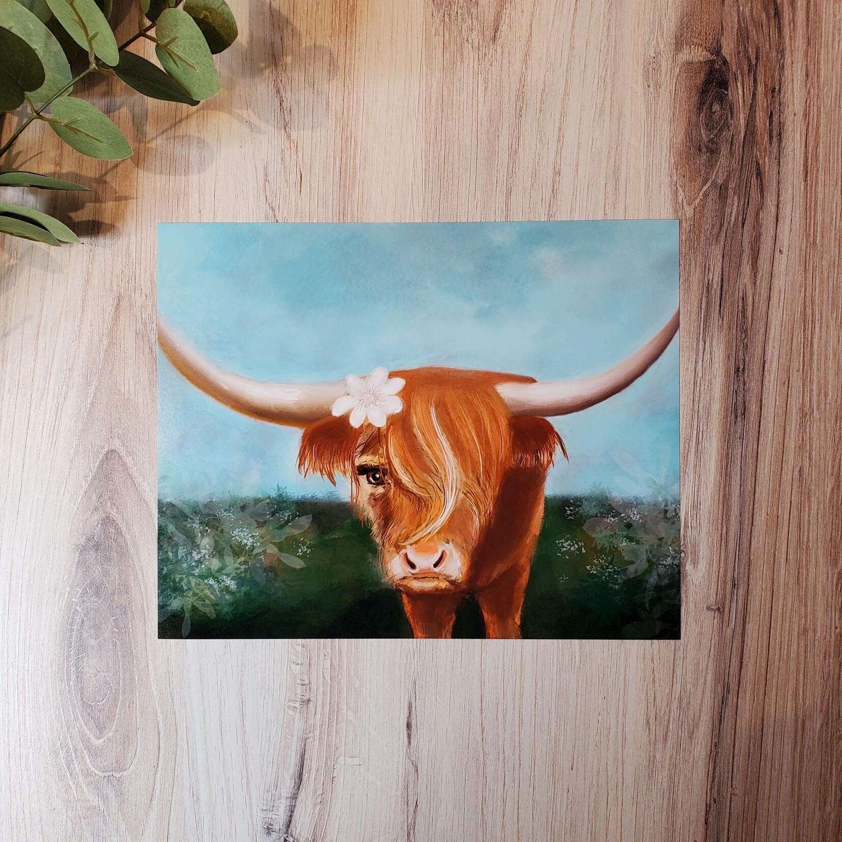 Asja Dawn "Highland Cow" - 8x10