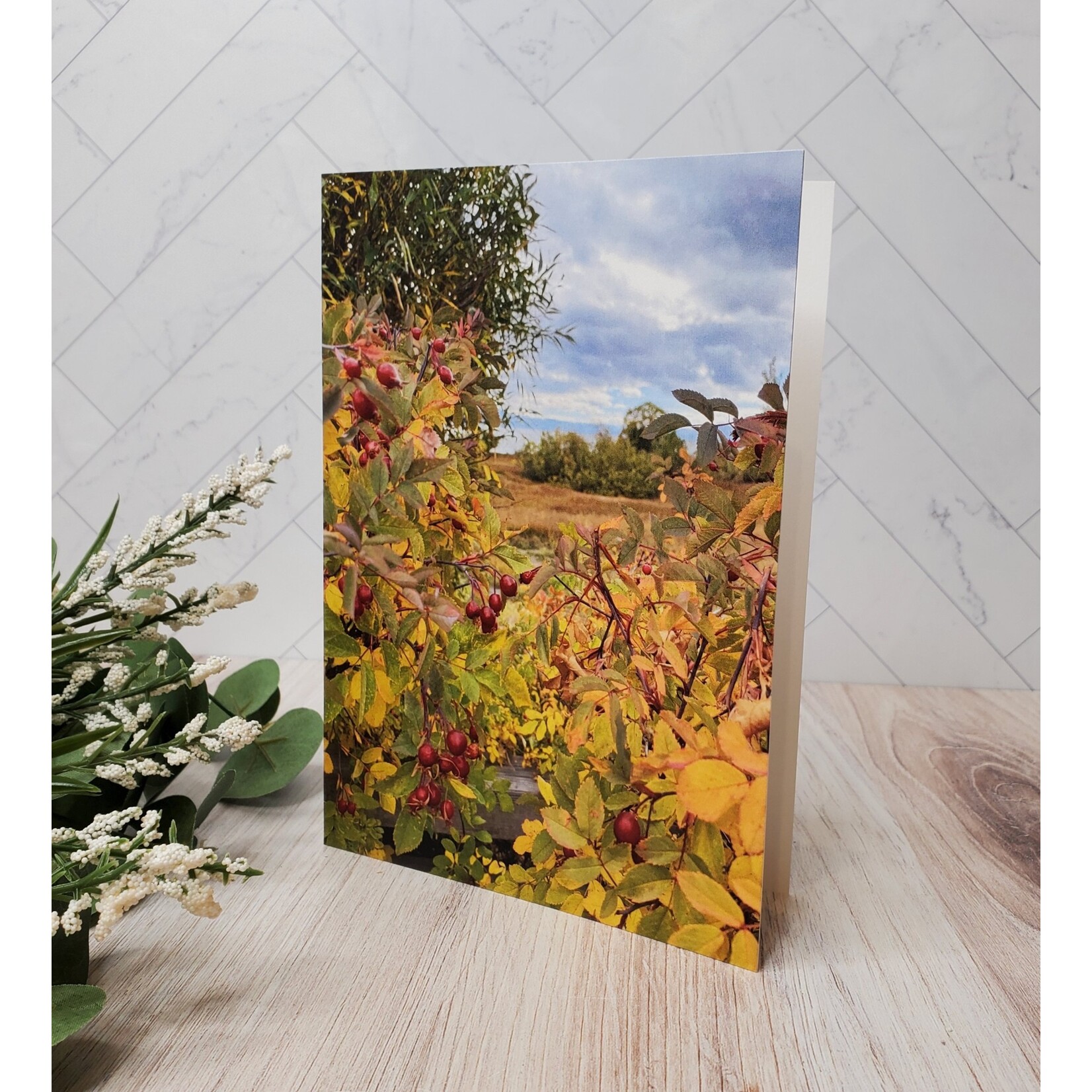 Barbara Mertz "Berries by Carnelian Bay" - Blank Notecard