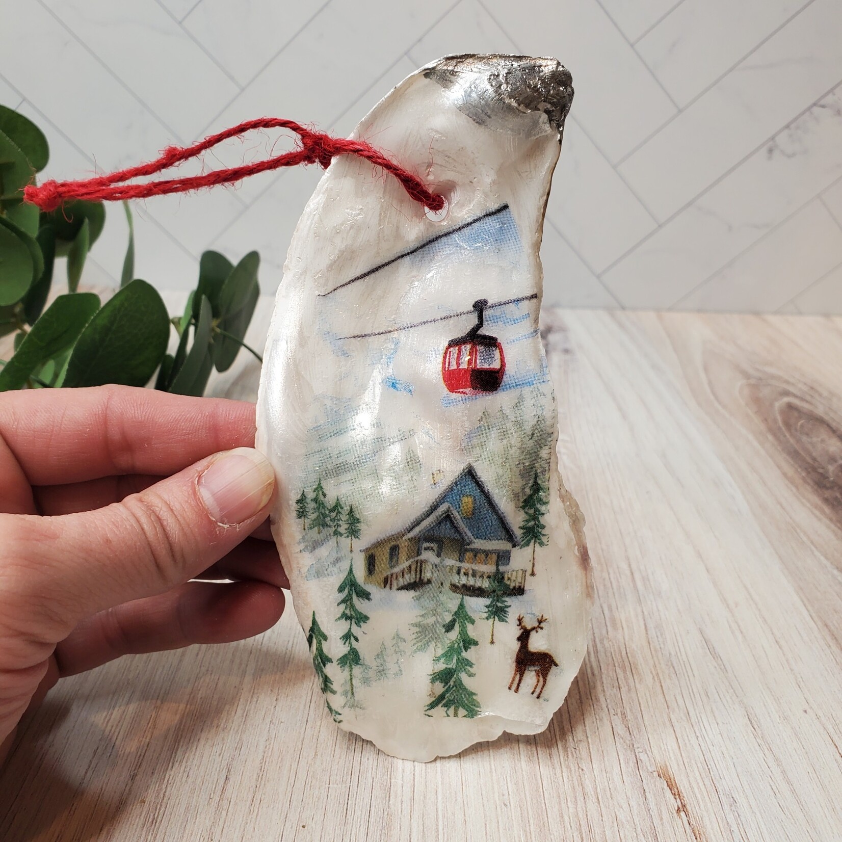 Sue Pemberton Oyster Shell Ski Ornament - Larges -