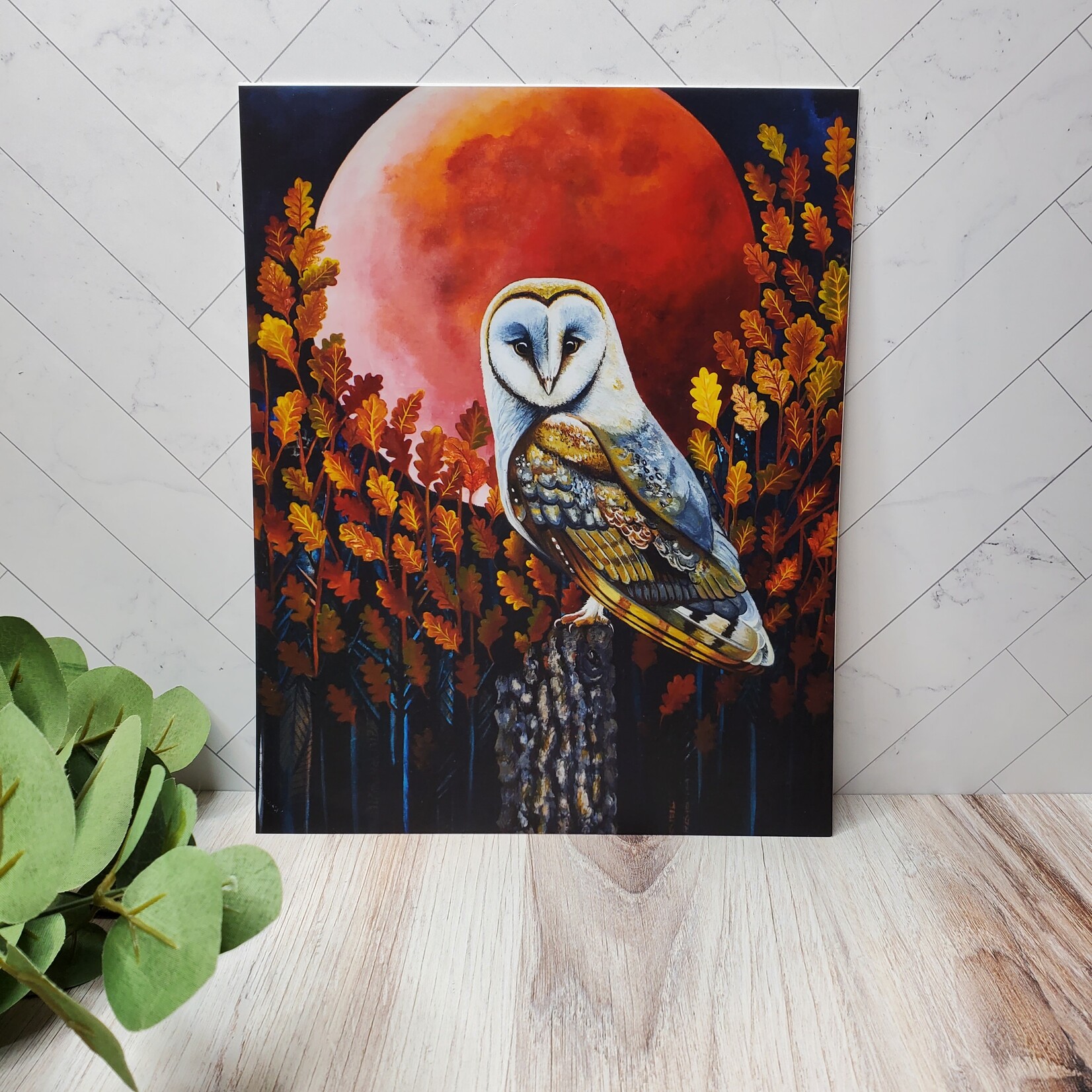 Asja Dawn "Blood Owl" - 8x10