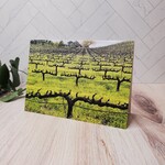 Barbara Mertz "Sonoma County in the Spring" - Blank Notecard