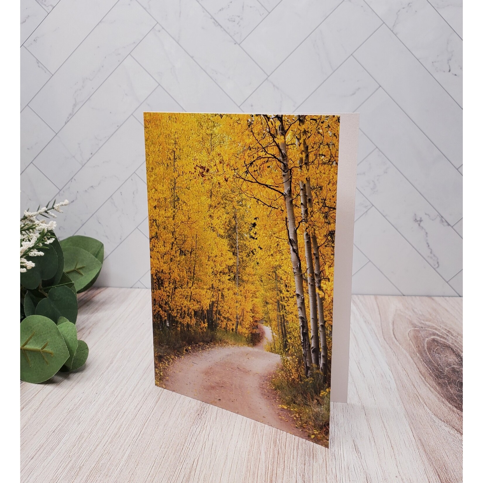 Barbara Mertz "Aspen Splendor" - Blank Notecard