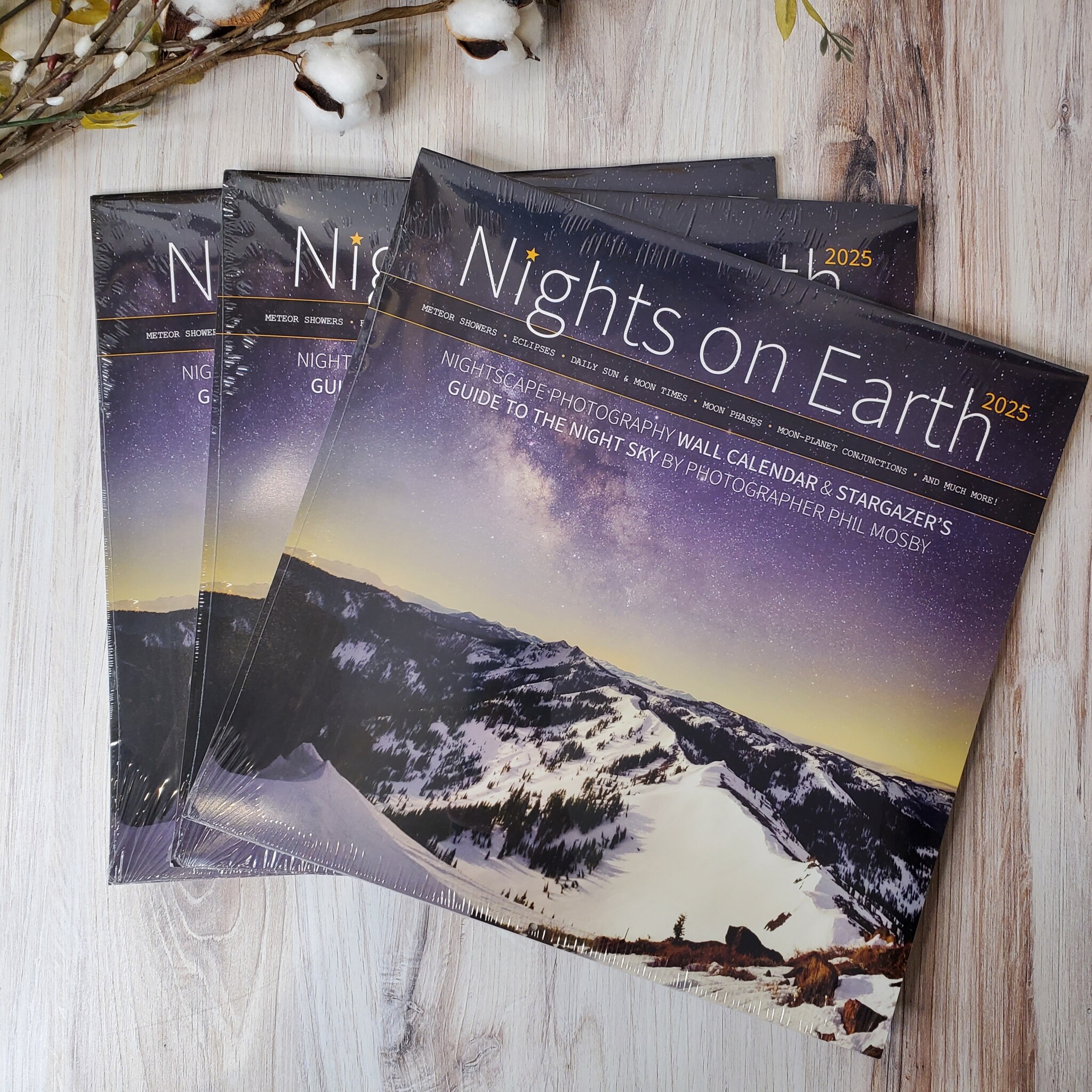 Nights on Earth - 2025 Calendar - Chickadee Art Collective