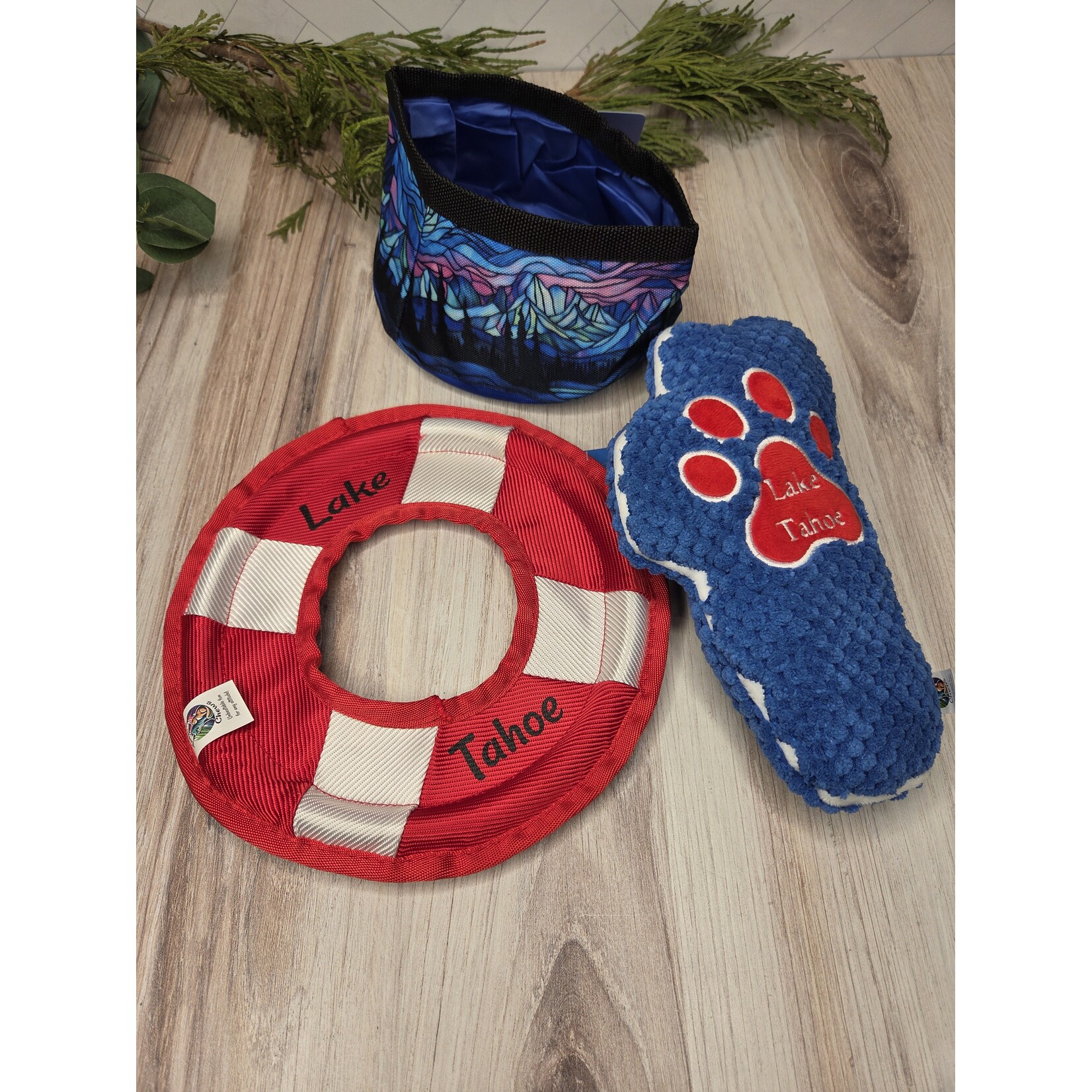 Tahoe Chews Collapsible Dog Bowl