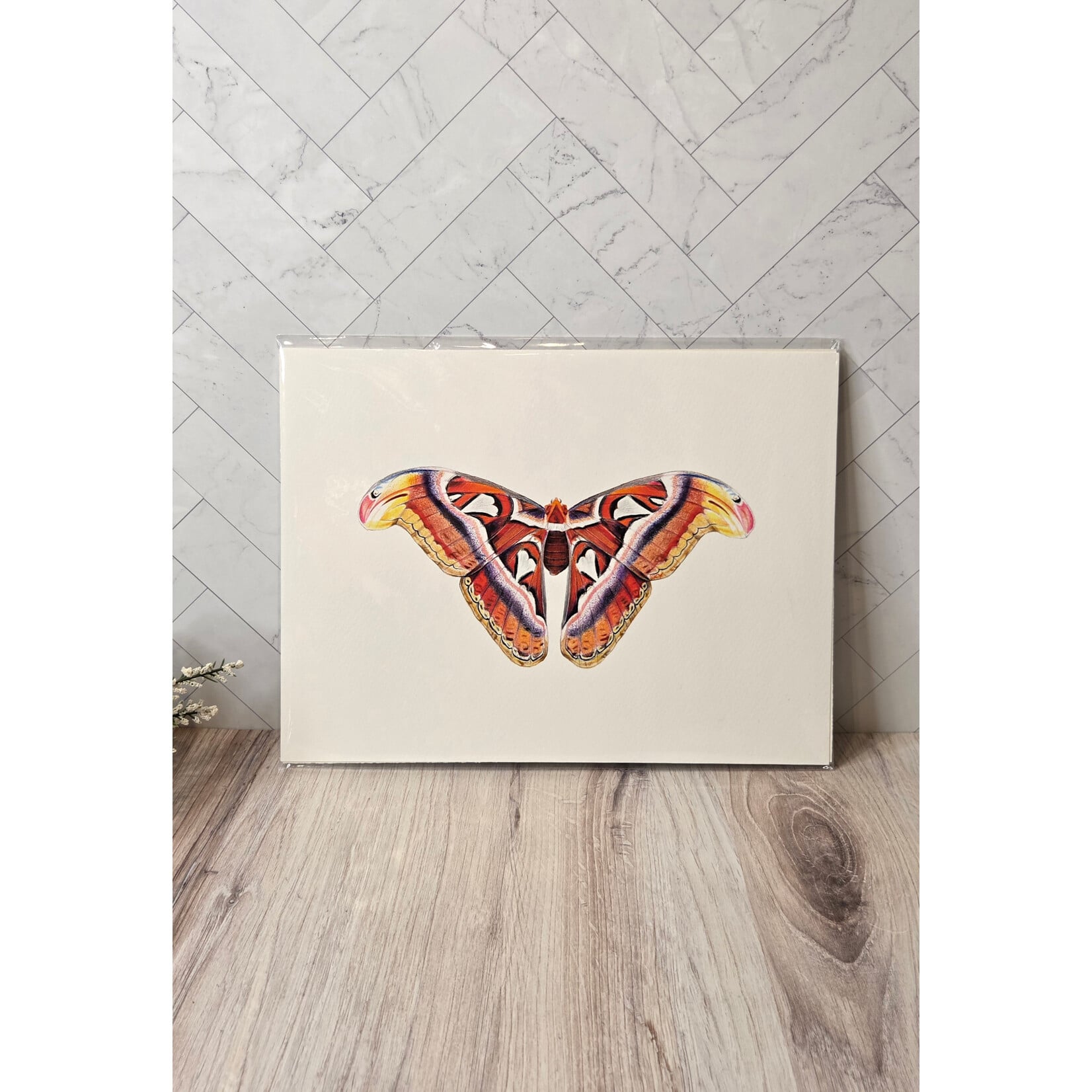 Sky Woodland Art "Atlas Moth" - 9x12" giclee