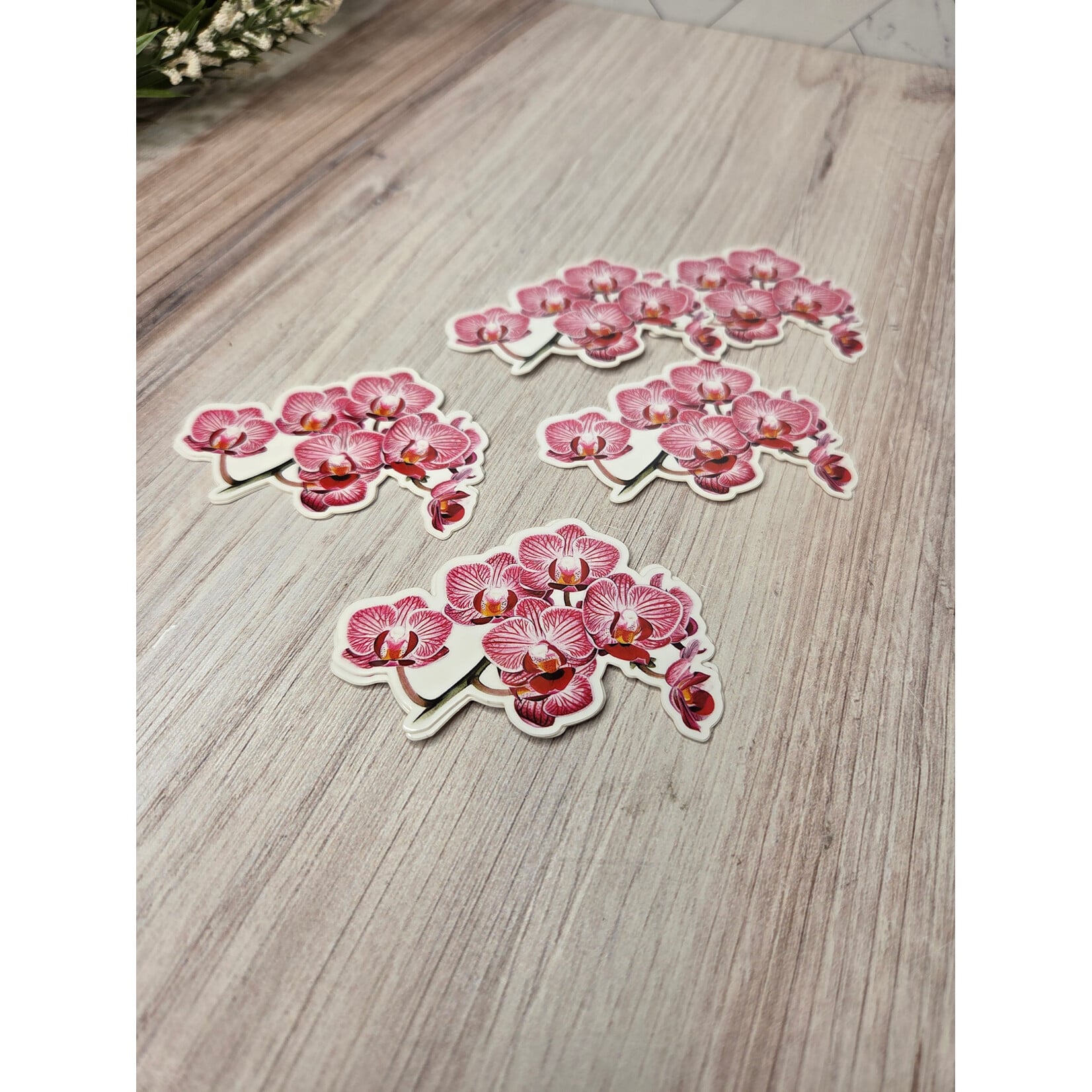 Sky Woodland Art Orchid Stickers