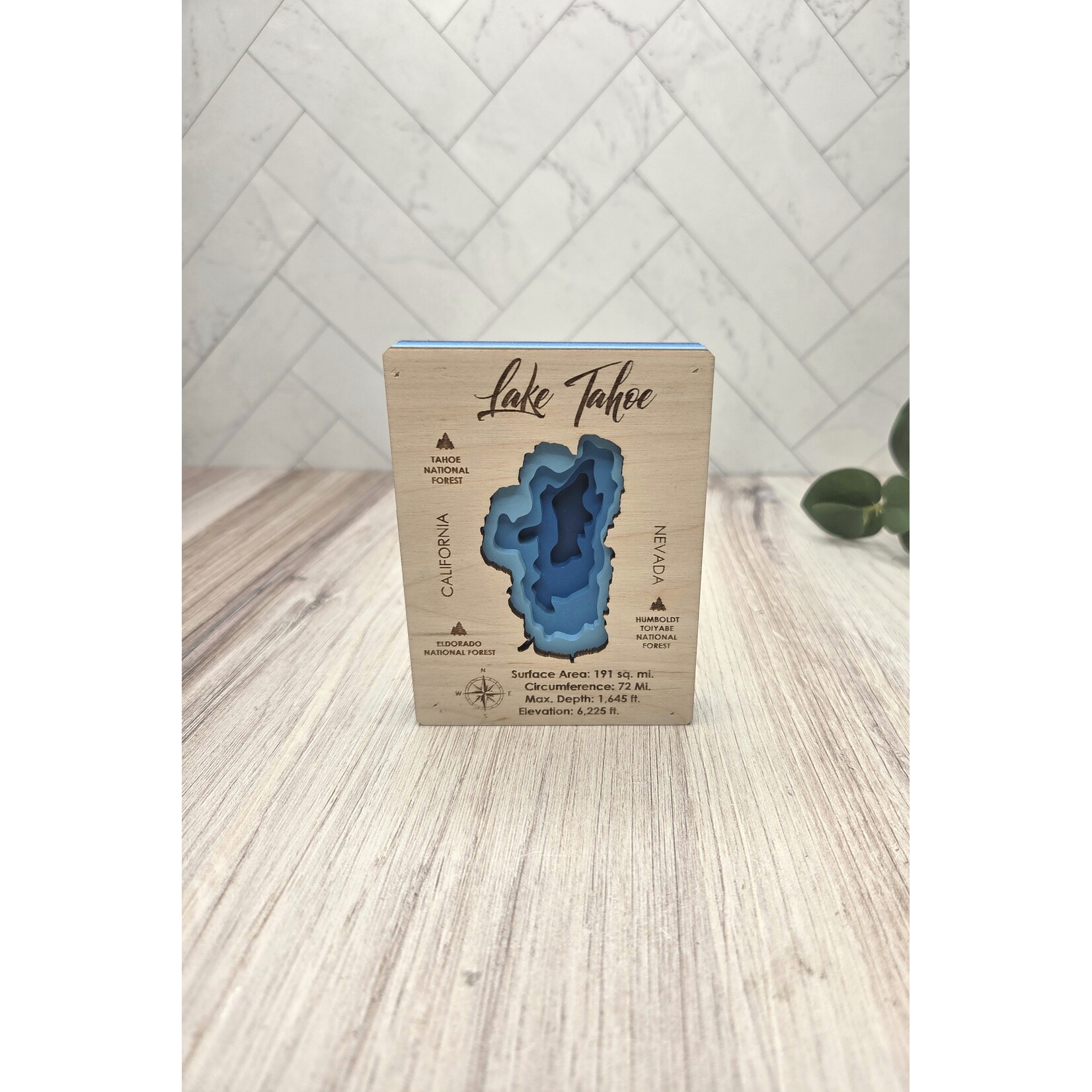 Logan Greenwood Lake Tahoe Bathymetric Map  - Mini 3x4"