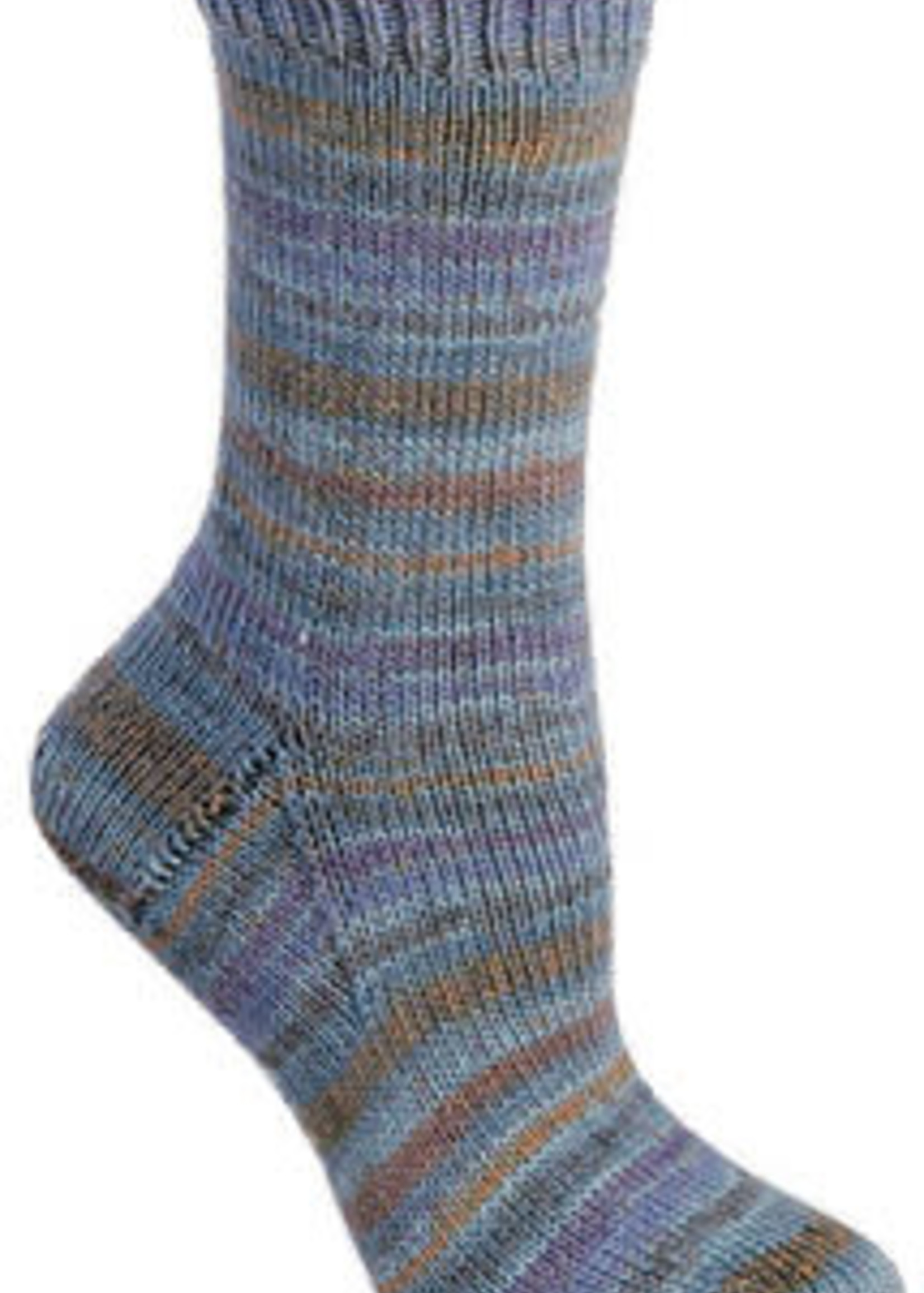 Berroco Berroco Comfort Sock Yarn #1813 Southland