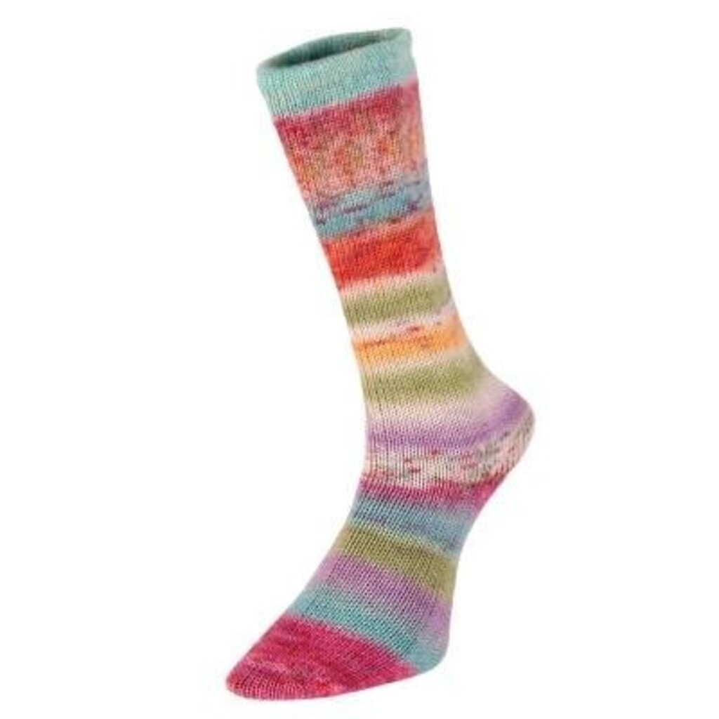 Estelle Yarns Estelle Yarns - Evolution Celebration Sock