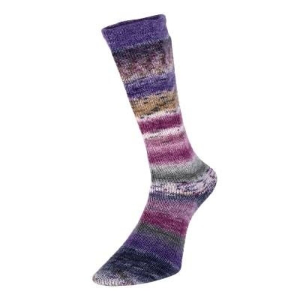 Estelle Yarns Estelle Yarns - Evolution Celebration Sock