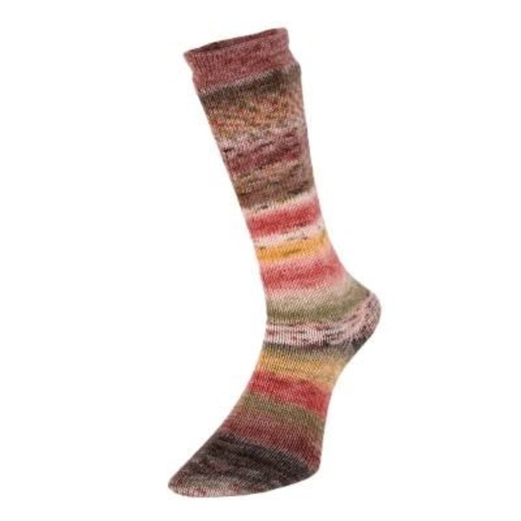 Estelle Yarns Estelle Yarns - Evolution Celebration Sock