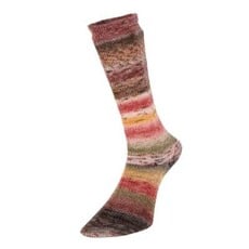 Estelle Yarns Estelle Yarns - Evolution Celebration Sock