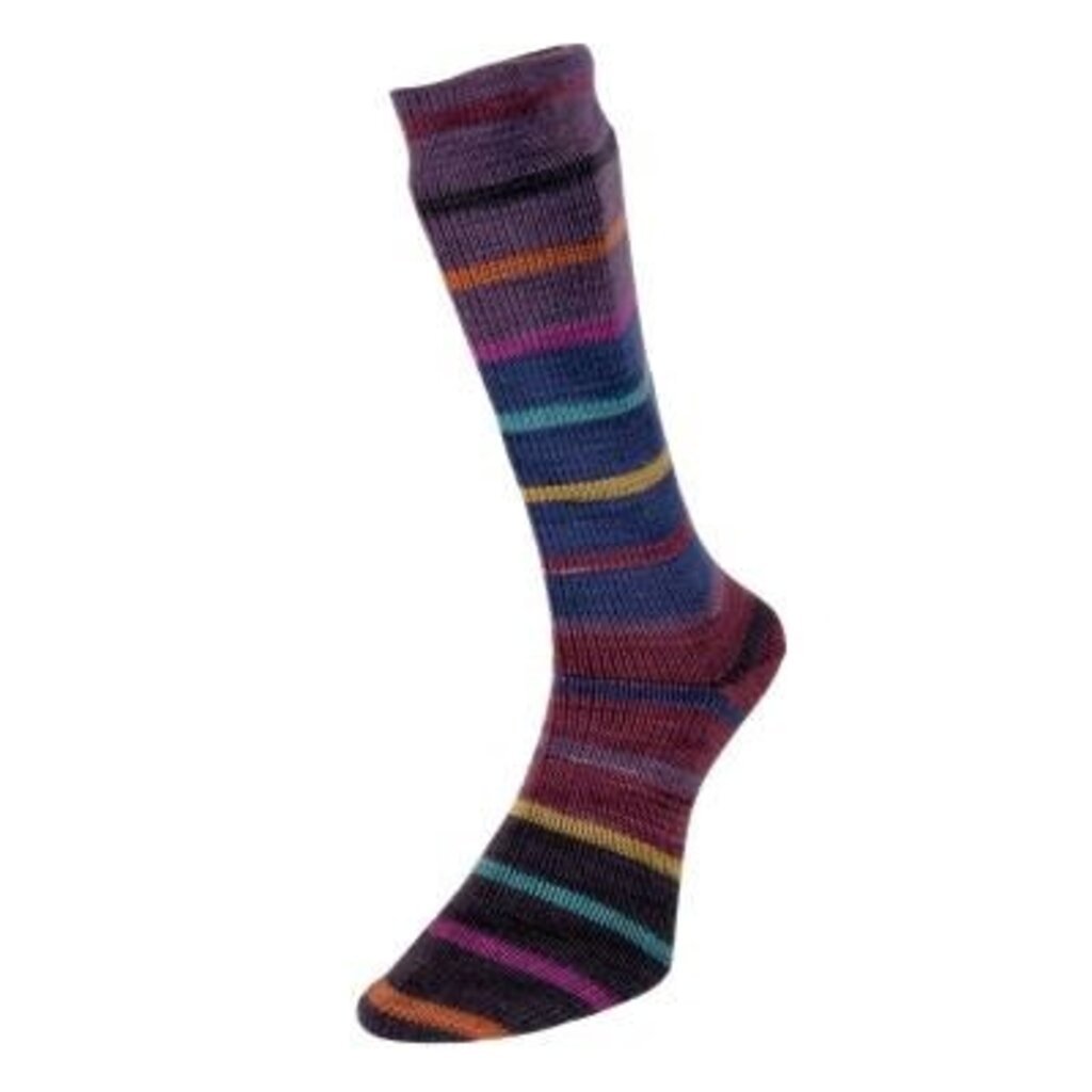 Estelle Yarns Estelle Yarns - Evolution Stripe Sock