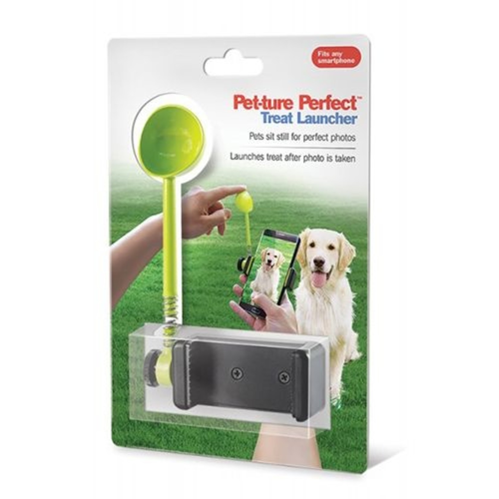 PET-TURE PERFECT TREAT LAUNCH - Lily's TV Items