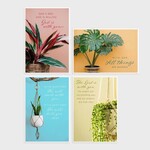 House Plant Encouraging Cards