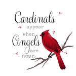 Angles Appear Cardinals Accent Pillow