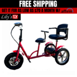 Rider 2 Double Scooter 1000 watt 48v Scooter Red