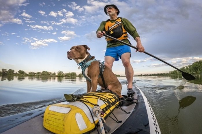 Tips for Riding a Stand-Up Paddleboard with Your Dog