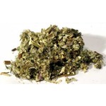 Mugwort cut 2oz  (Artemisia vulgaris)